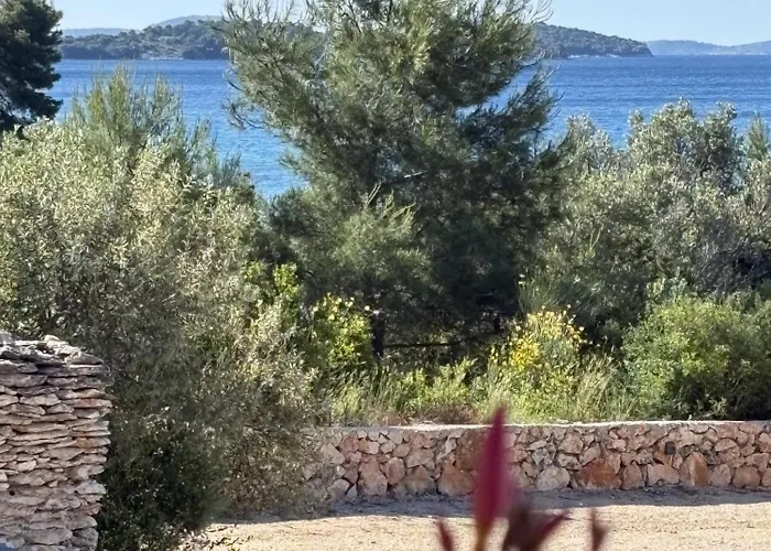 Aurea House * 티스노